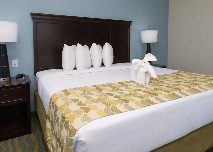 Hotel Edge Clearwater